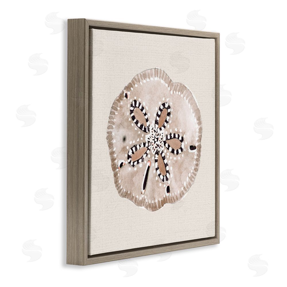 Sundance Graphics Taupe & Beige Sand Dollar Brown Floating Frame Canvas Wall Art Print