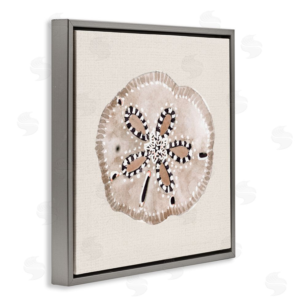 Sundance Graphics Taupe & Beige Sand Dollar Gray Floating Frame Canvas Wall Art Print