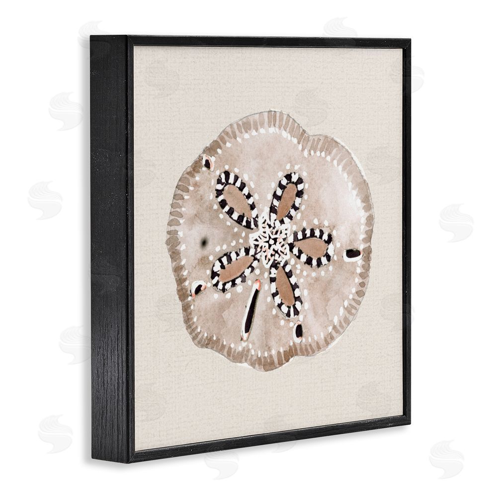 Sundance Graphics Taupe & Beige Sand Dollar Black Framed Giclee Wall Art Print