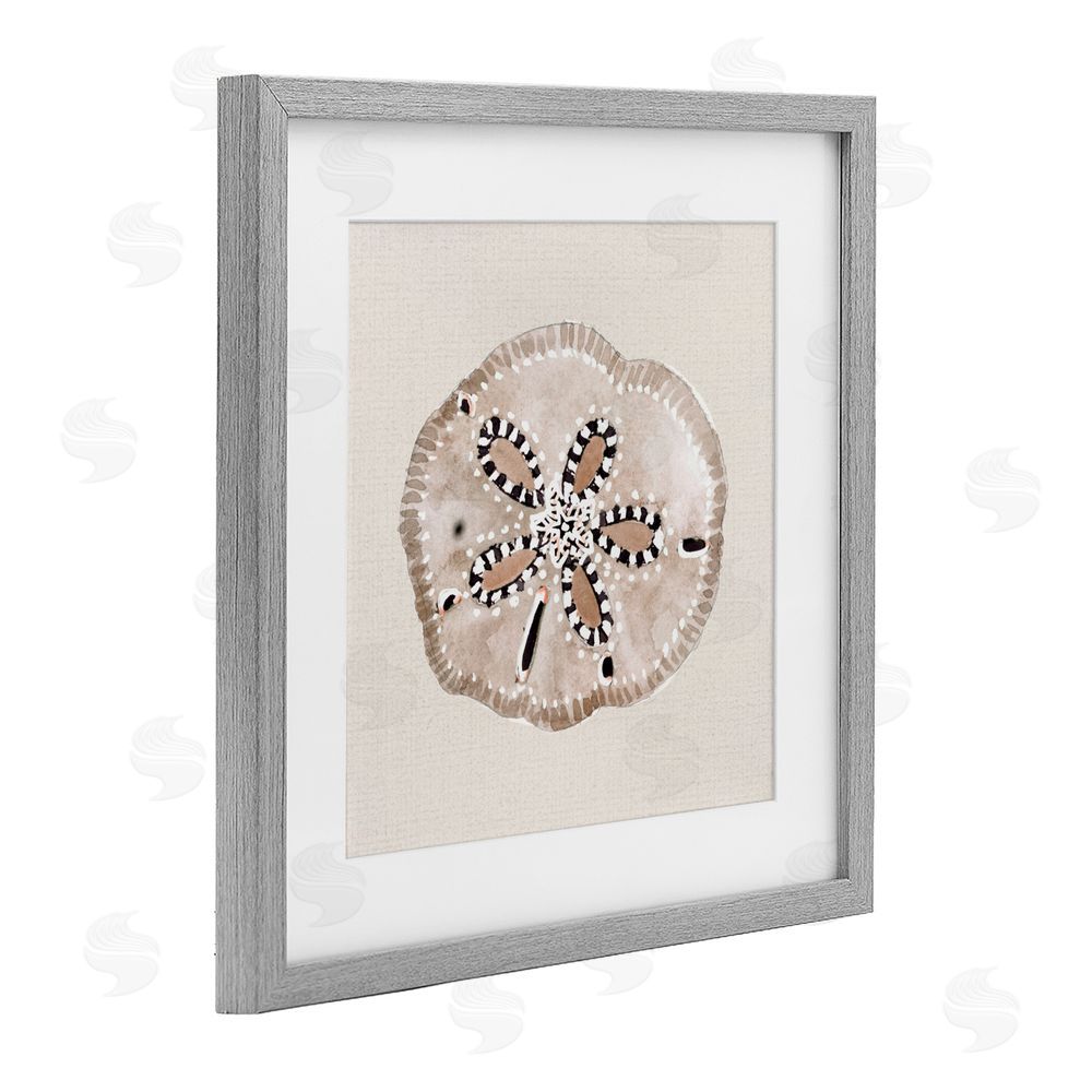 Sundance Graphics Taupe & Beige Sand Dollar Gray Framed Print Under Glass Wall Art