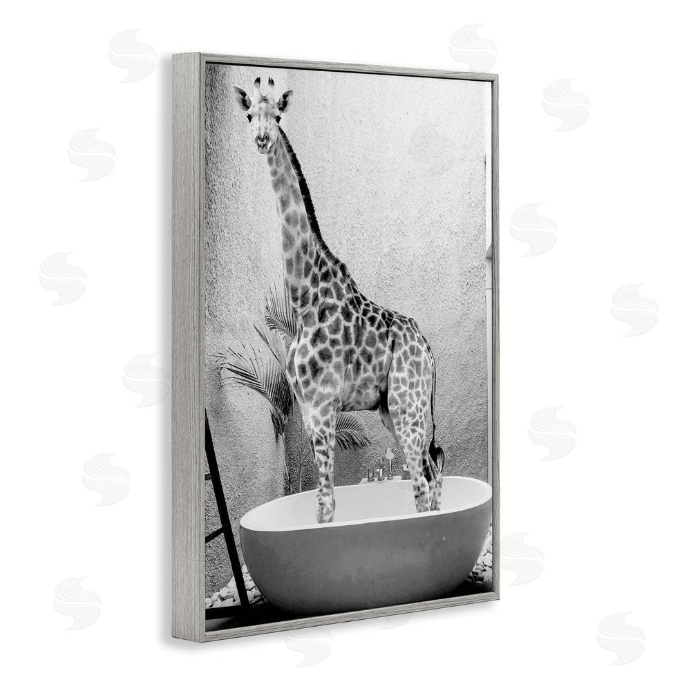 Sundance Graphics Safari Bath Standing Tall Gray Framed Giclee Wall Art Print