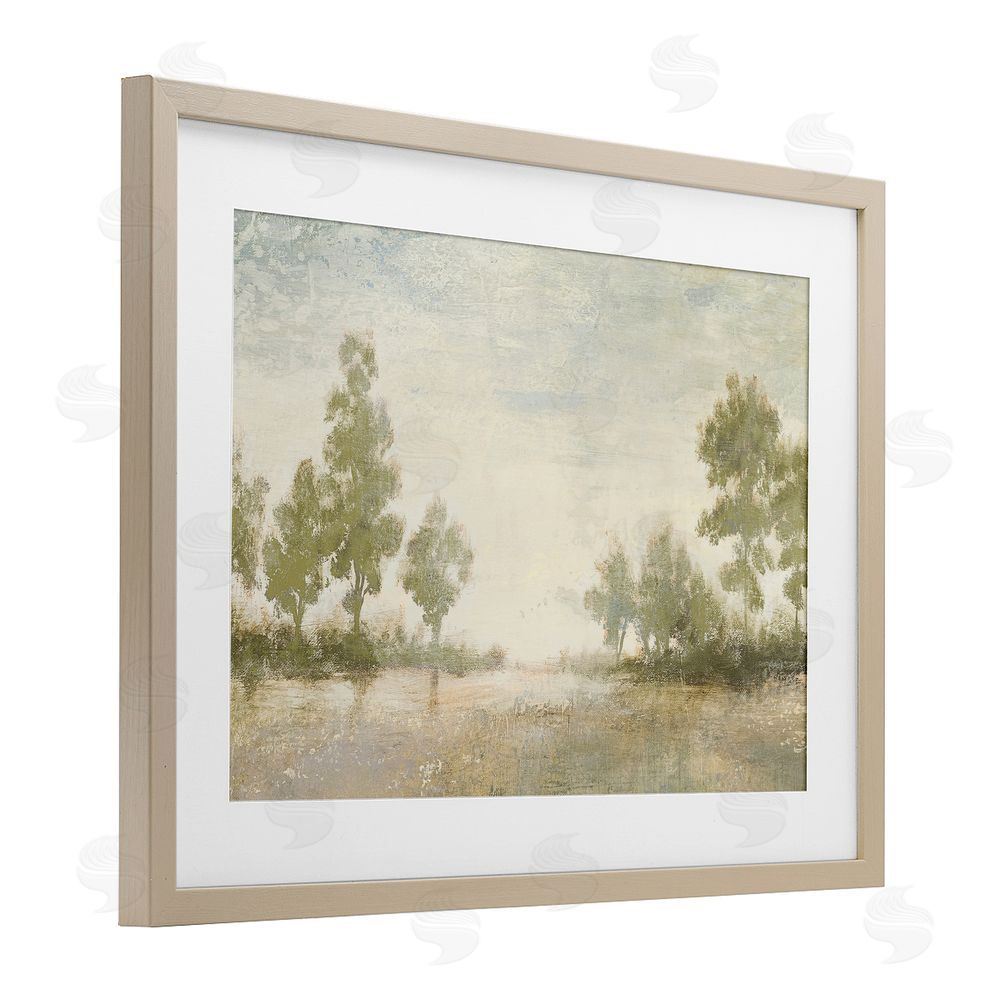 Sundance Graphics Forest Light Distant Valley Birch Framed Print Under Glass Wall Art