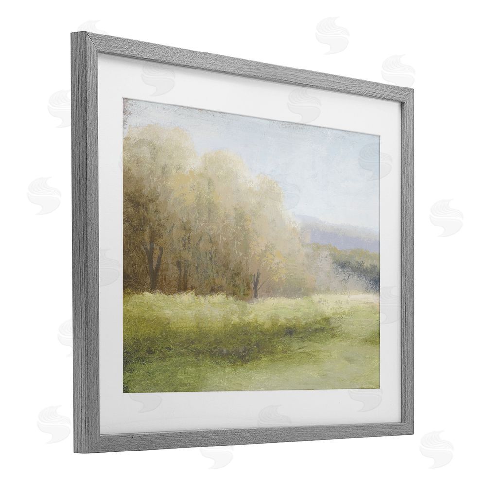 Sundance Graphics Within a Familiar Place Landscape Gray Framed Print Under Glass Wall Art