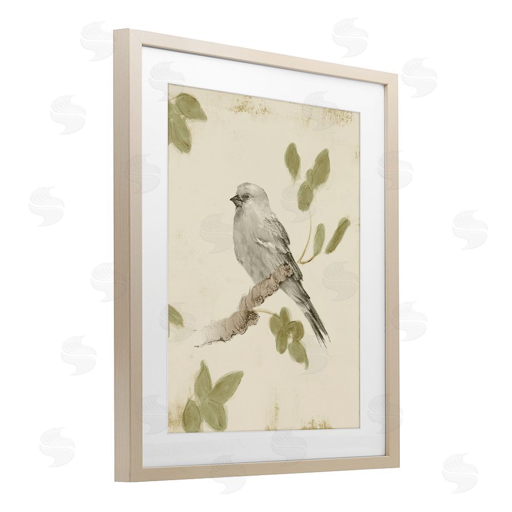 Sundance Graphics Bird Scene on Neutral Birch Framed Print Under Glass Wall Art