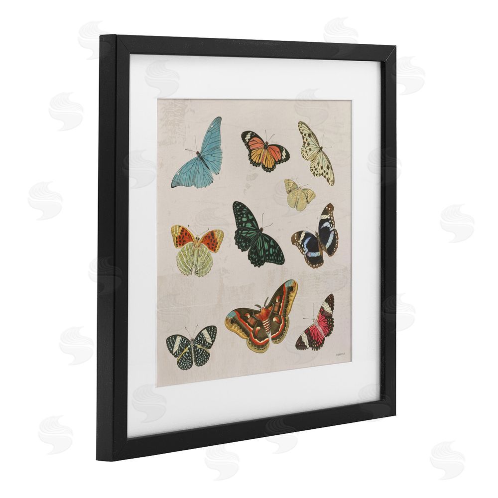 Sundance Graphics Vintage Butterfly Flight Black Framed Print Under Glass Wall Art