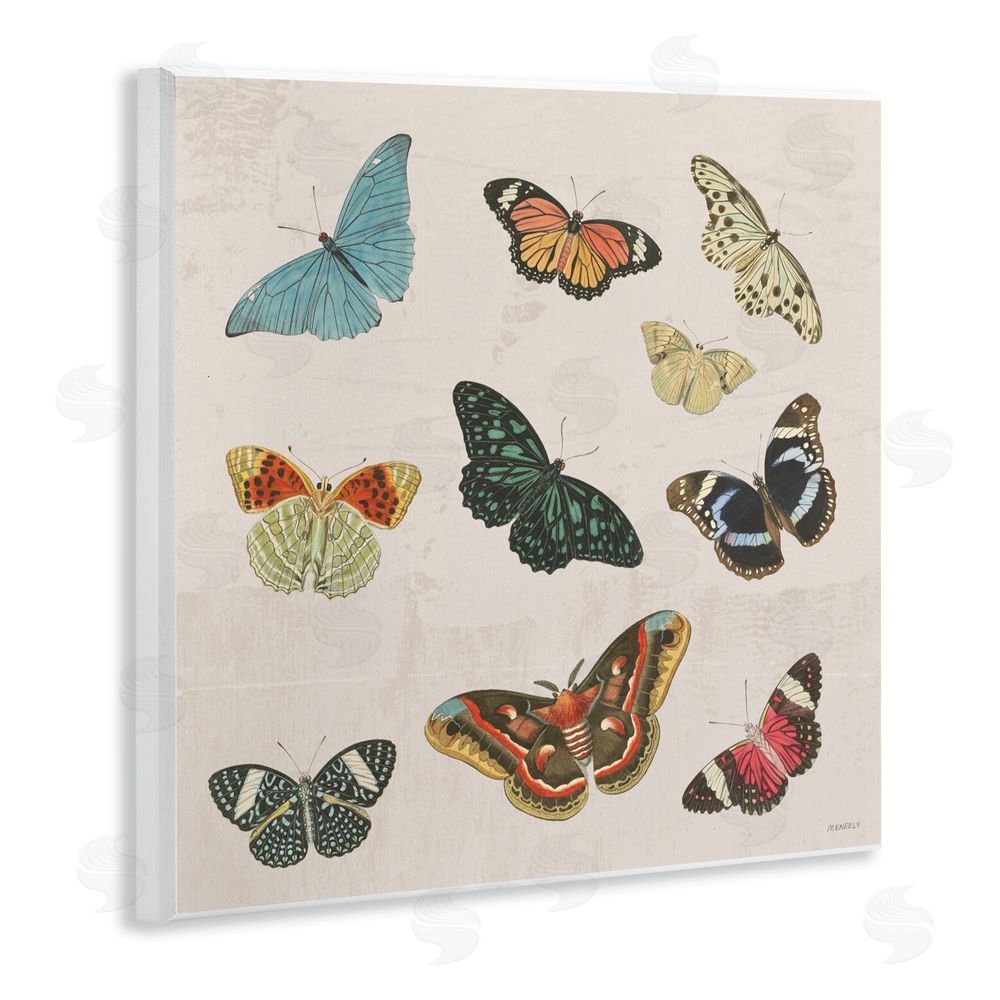 Sundance Graphics Vintage Butterfly Flight Wall Plaque Printed Art