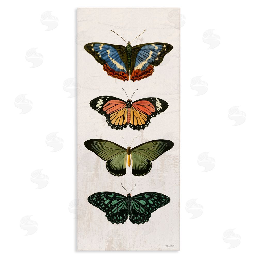 Sundance Graphics Butterfly Lineup Vintage Canvas Wall Art Print