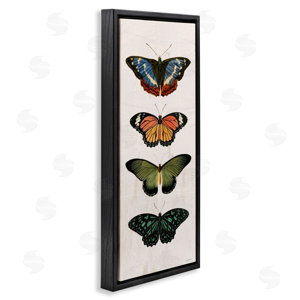 Sundance Graphics Butterfly Lineup Vintage Black Floating Frame Canvas Wall Art Print