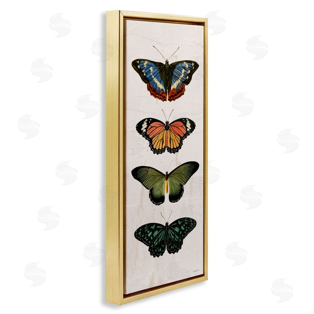 Sundance Graphics Butterfly Lineup Vintage Gold Floating Frame Canvas Wall Art Print