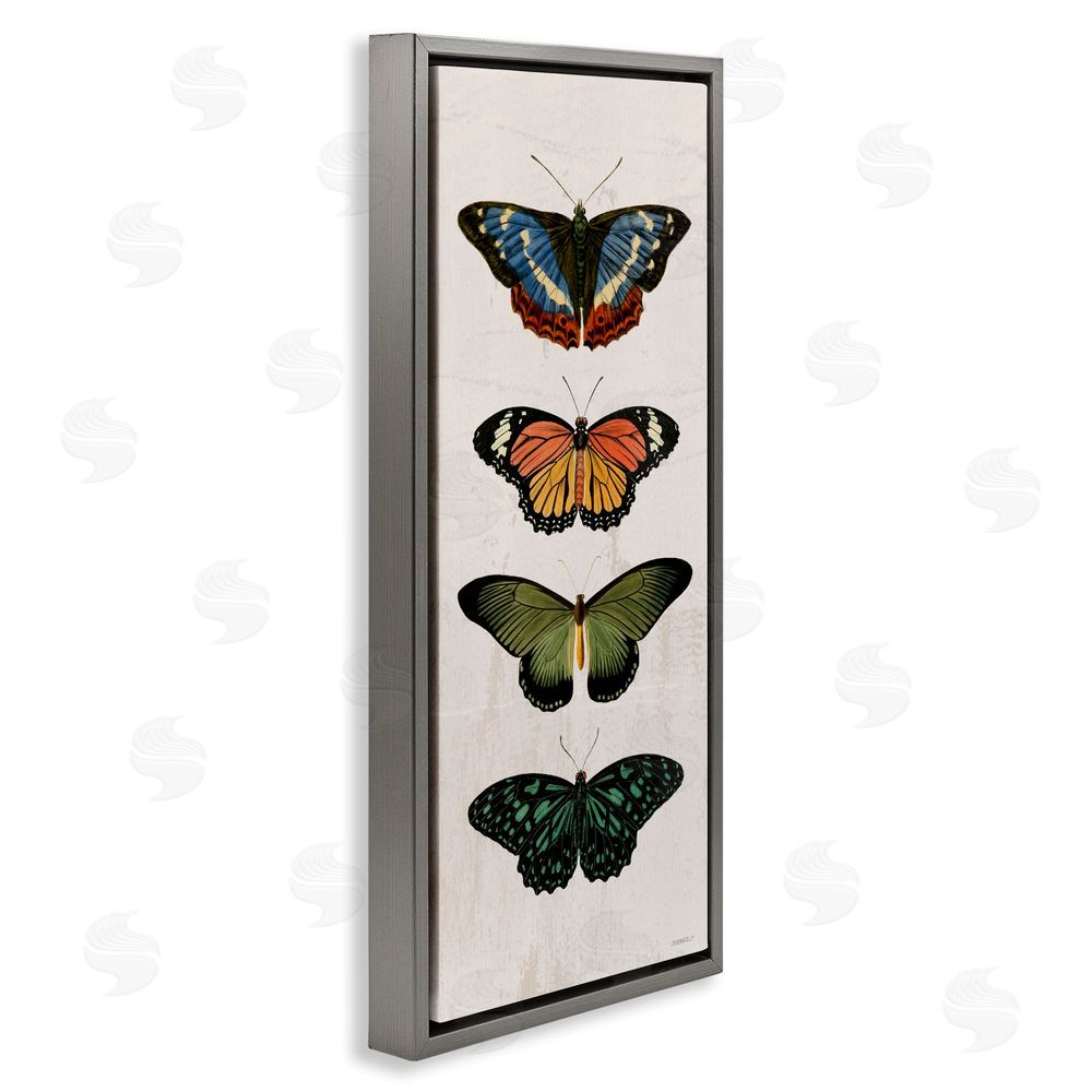 Sundance Graphics Butterfly Lineup Vintage Gray Floating Frame Canvas Wall Art Print