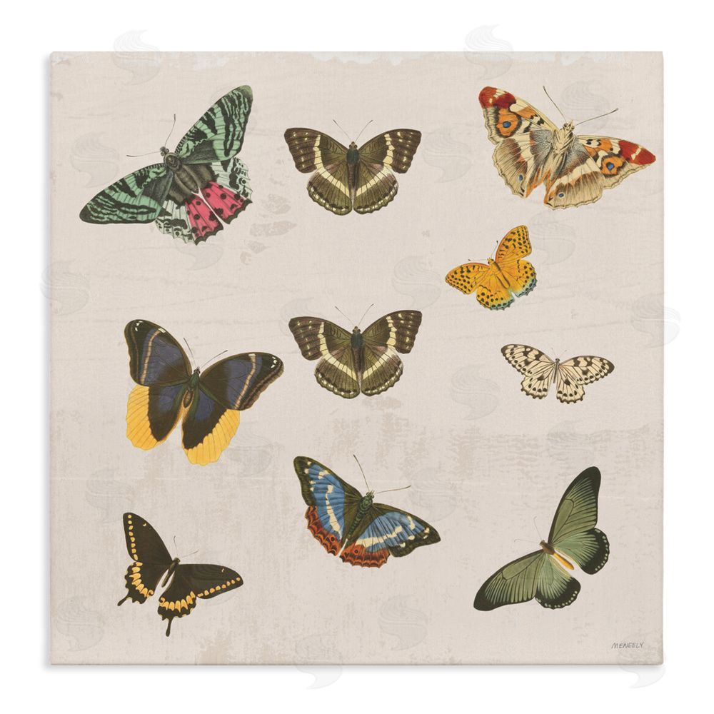 Sundance Graphics Antique Butterfly Flight Canvas Wall Art Print