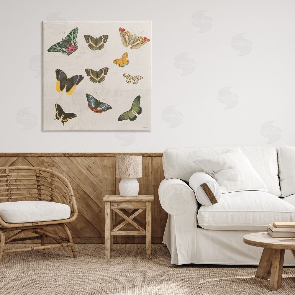 Sundance Graphics Antique Butterfly Flight Canvas Wall Art Print in Room