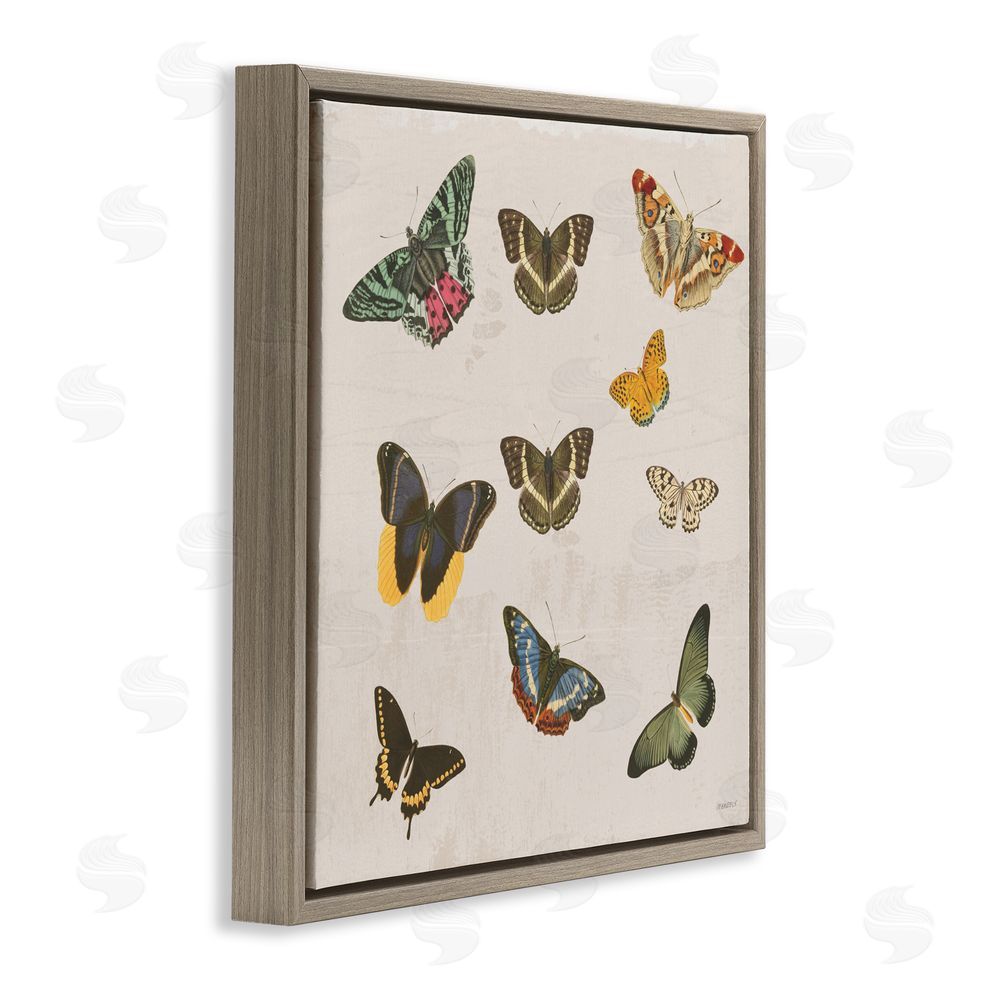 Sundance Graphics Antique Butterfly Flight Brown Floating Frame Canvas Wall Art Print