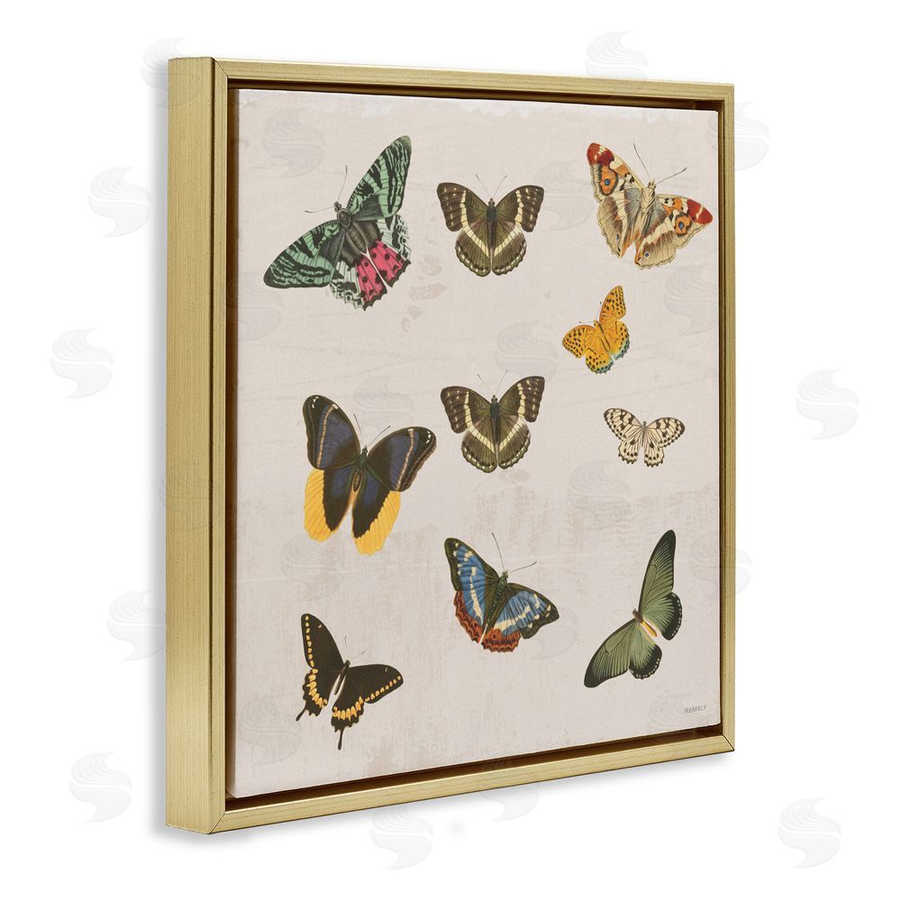 Sundance Graphics Antique Butterfly Flight Gold Floating Frame Canvas Wall Art Print