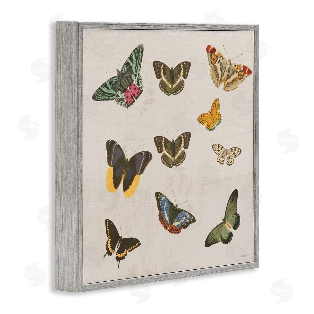 Sundance Graphics Antique Butterfly Flight Gray Framed Giclee Wall Art Print