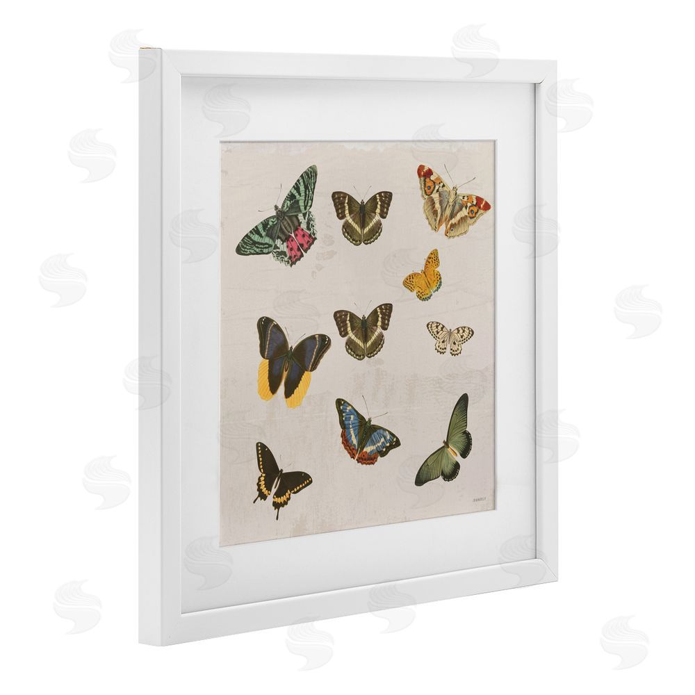 Sundance Graphics Antique Butterfly Flight White Framed Print Under Glass Wall Art