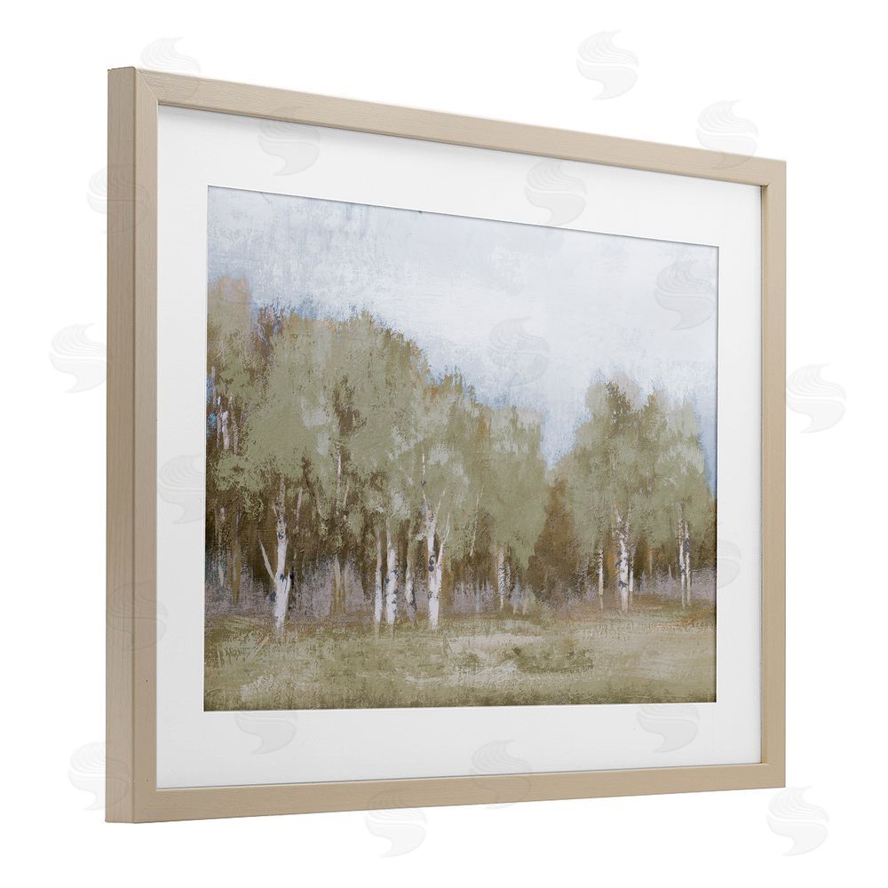 Sundance Graphics Autumn Greens Tranquil Trees Birch Framed Print Under Glass Wall Art