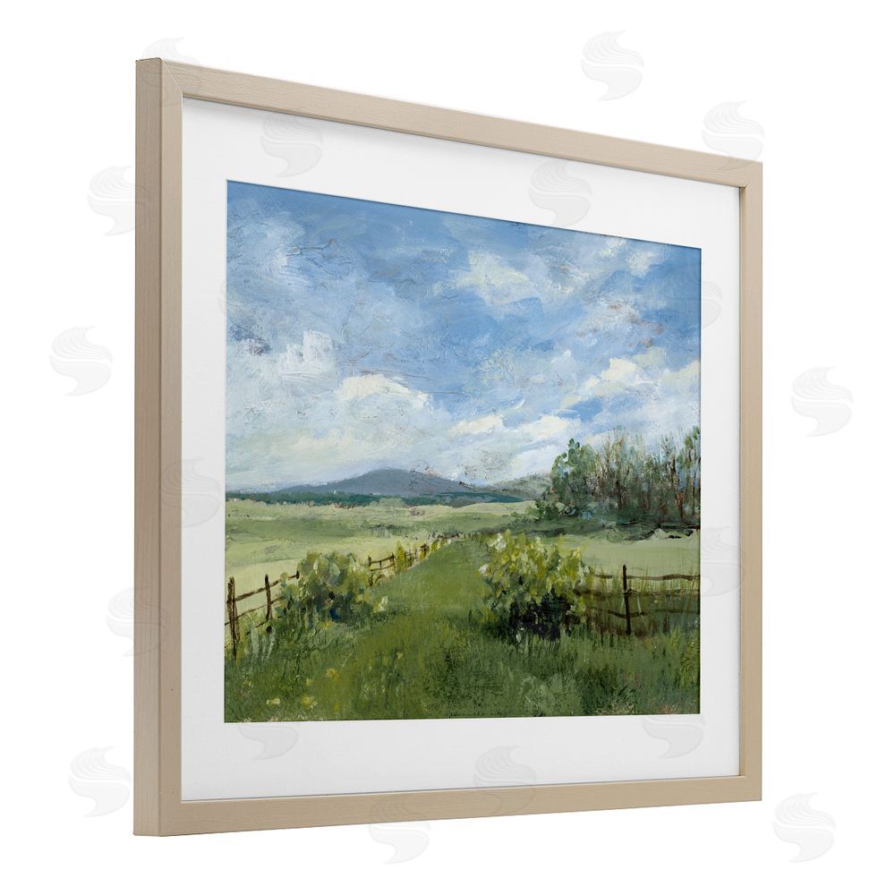 Lanie Loreth Thank You Nature Landscape Birch Framed Print Under Glass Wall Art