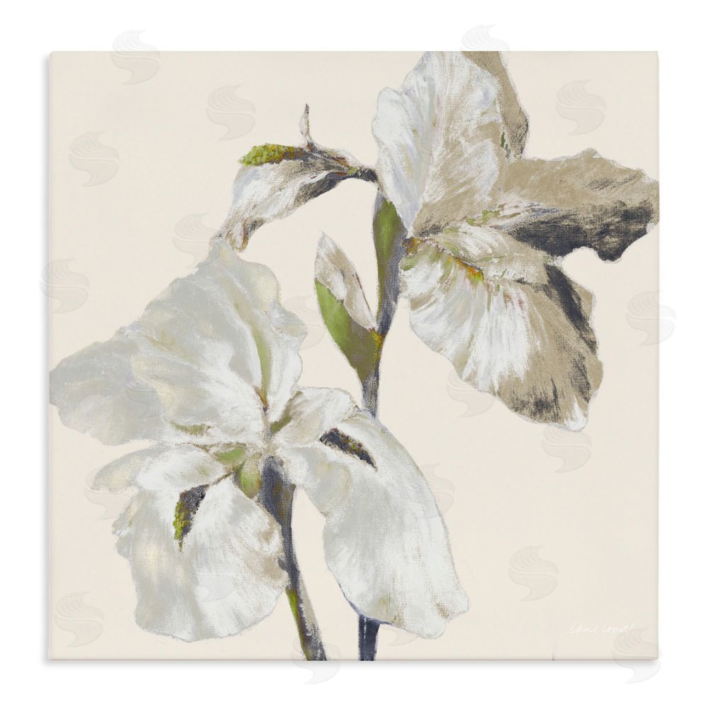 Sundance Graphics Irises Soft Beige Canvas Wall Art Print
