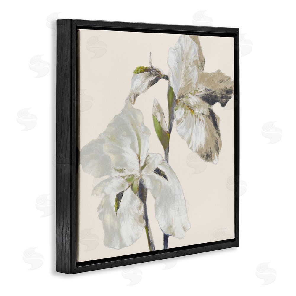 Sundance Graphics Irises Soft Beige Black Floating Frame Canvas Wall Art Print