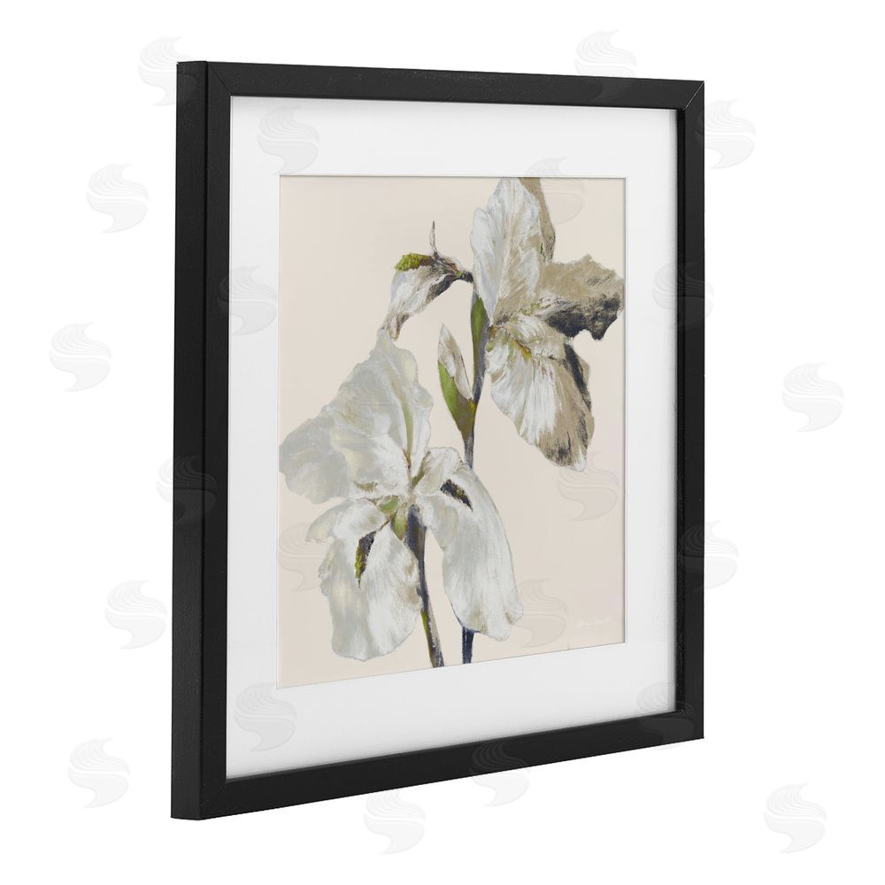 Sundance Graphics Irises Soft Beige Black Framed Print Under Glass Wall Art