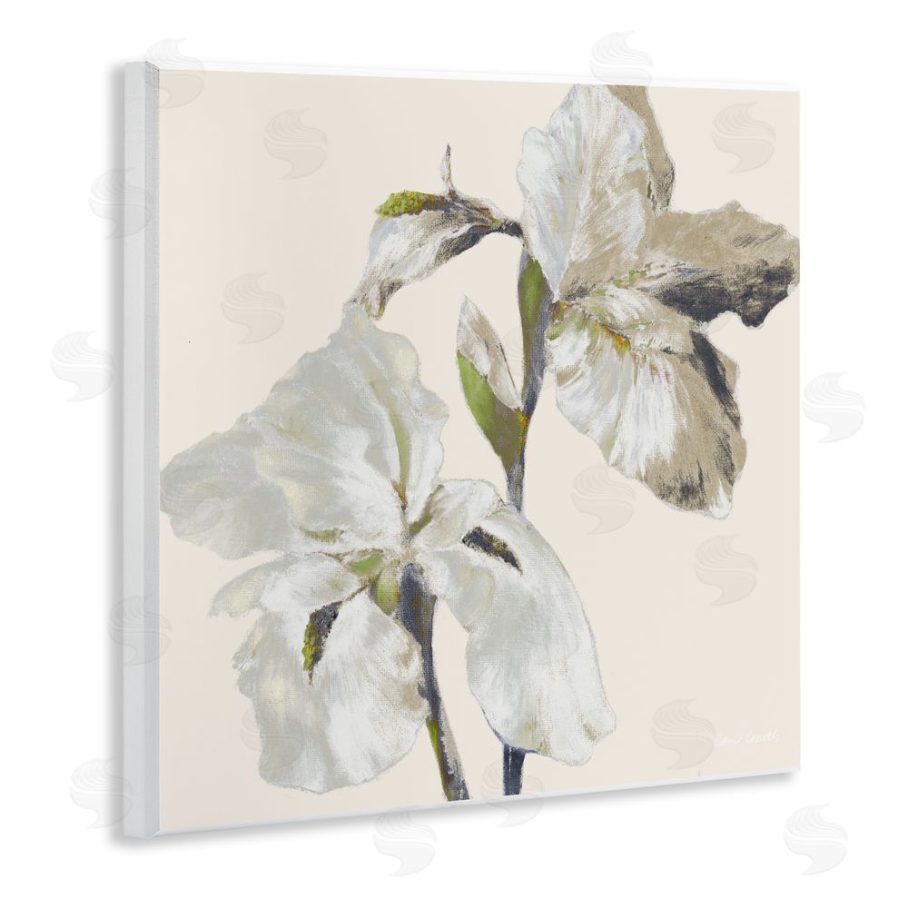 Sundance Graphics Irises Soft Beige Wall Plaque Printed Art