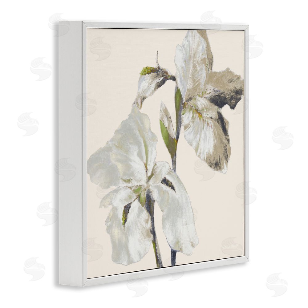 Sundance Graphics Irises Soft Beige White Framed Giclee Wall Art Print