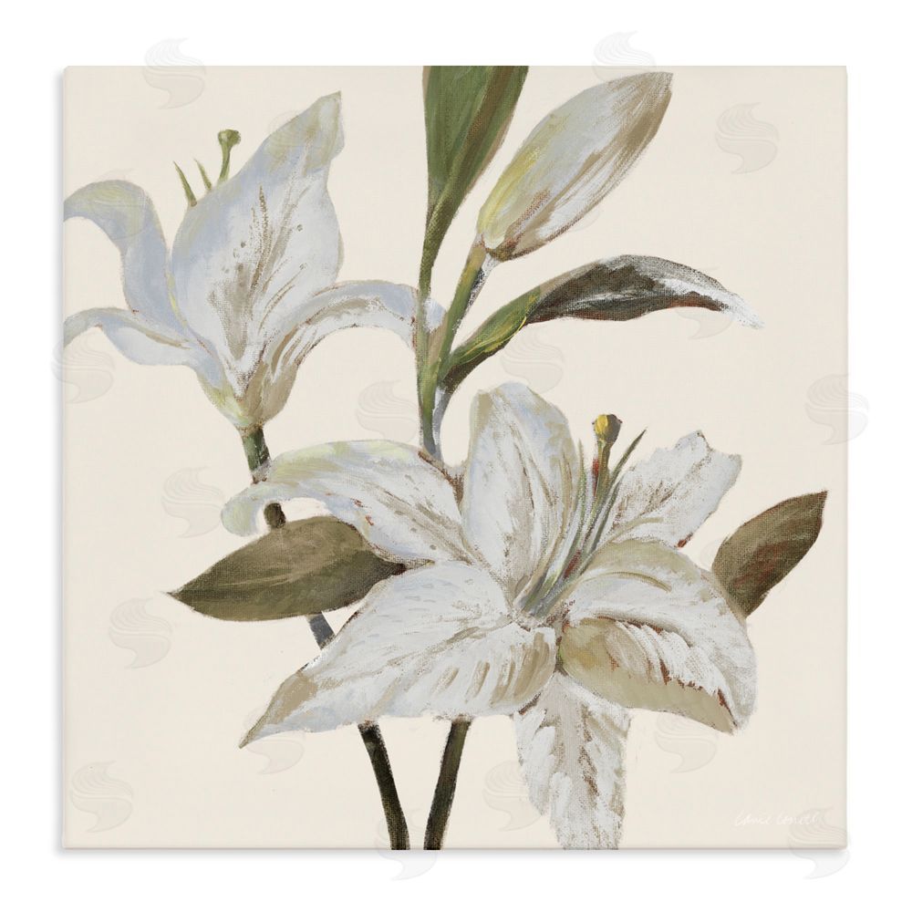 Sundance Graphics Lilies Soft Beige Canvas Wall Art Print