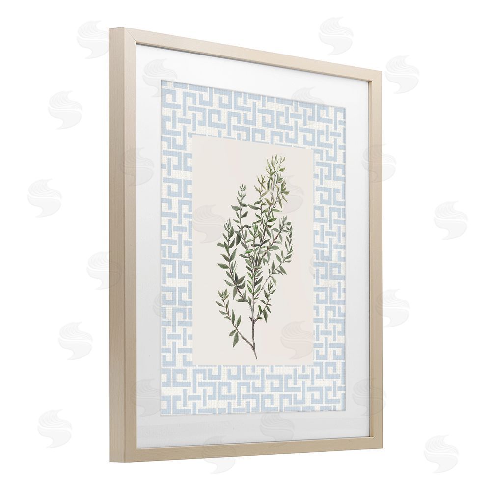 Sundance Graphics Leafy Herb on Geometric Birch Framed Print Under Glass Wall Art