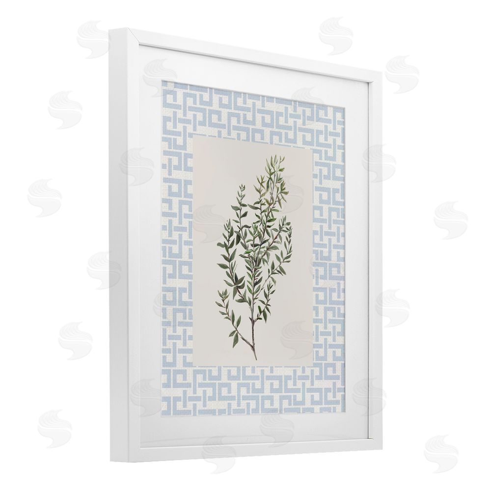 Sundance Graphics Leafy Herb on Geometric White Framed Print Under Glass Wall Art