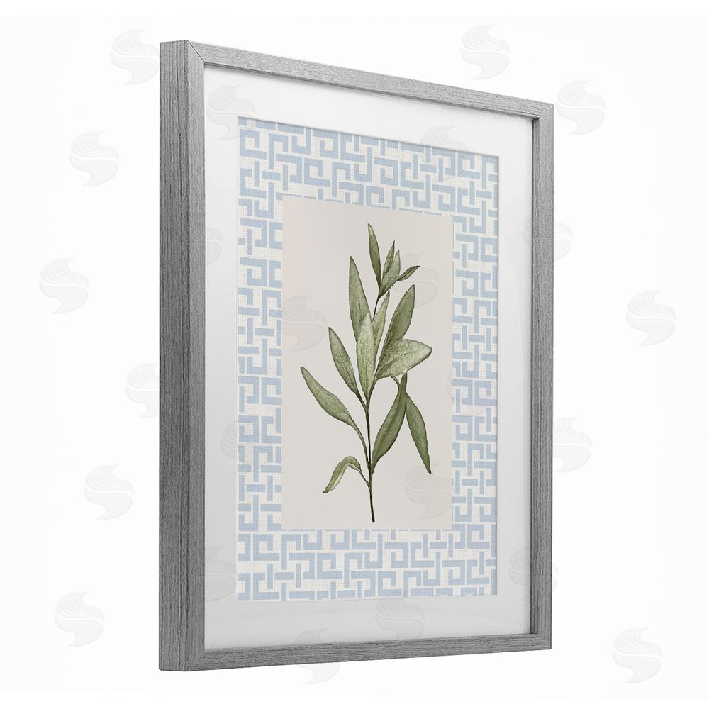 Sundance Graphics Leafy Fresh Herb Gray Framed Print Under Glass Wall Art