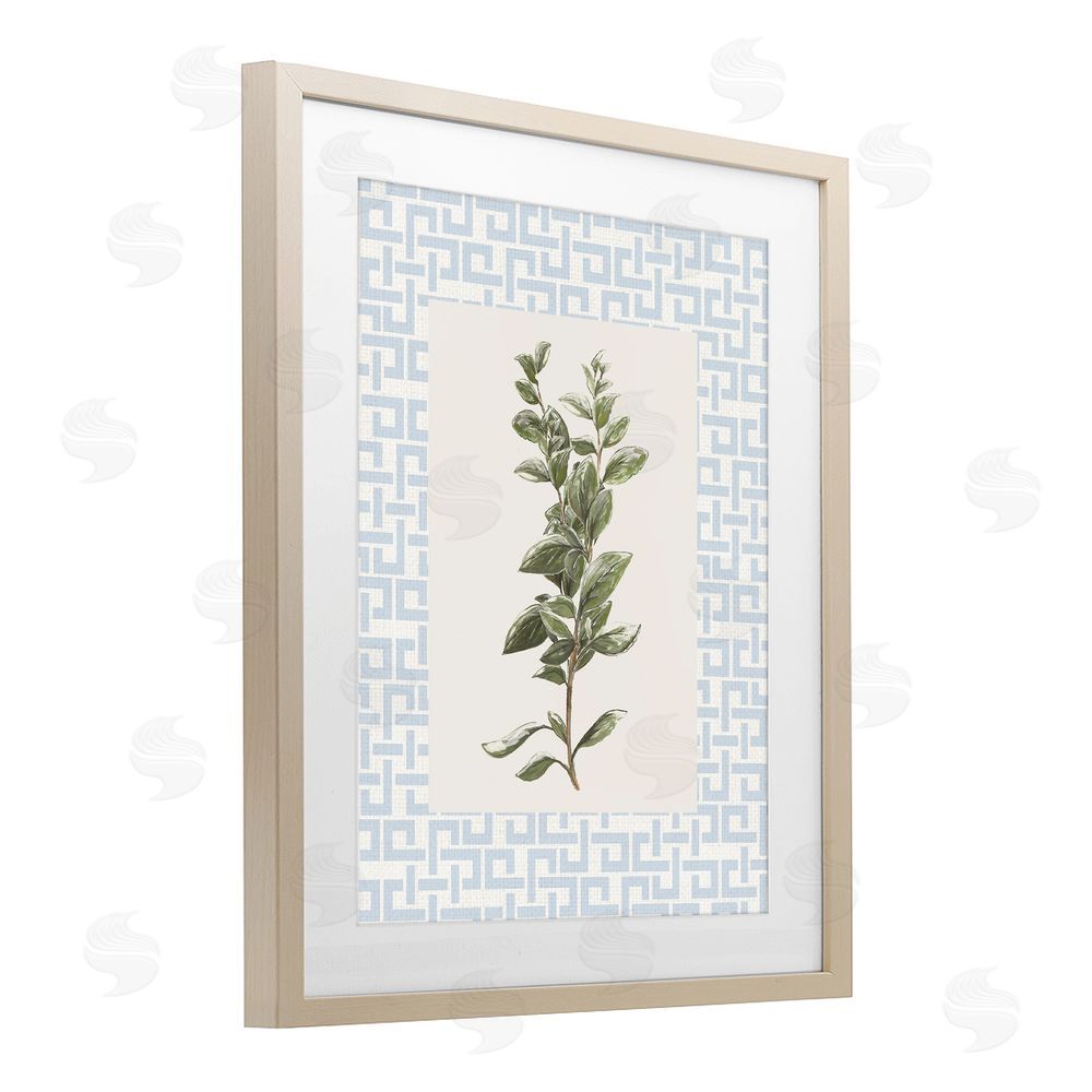 Sundance Graphics Fresh Herb on Geometric Birch Framed Print Under Glass Wall Art