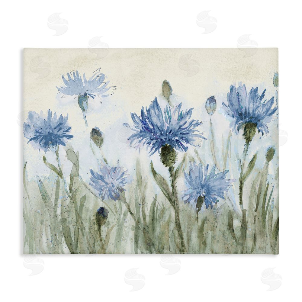 Sundance Graphics Blue Cornflowers Meadow Canvas Wall Art Print