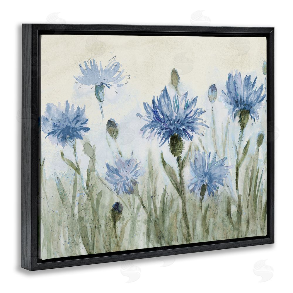 Sundance Graphics Blue Cornflowers Meadow Black Floating Frame Canvas Wall Art Print