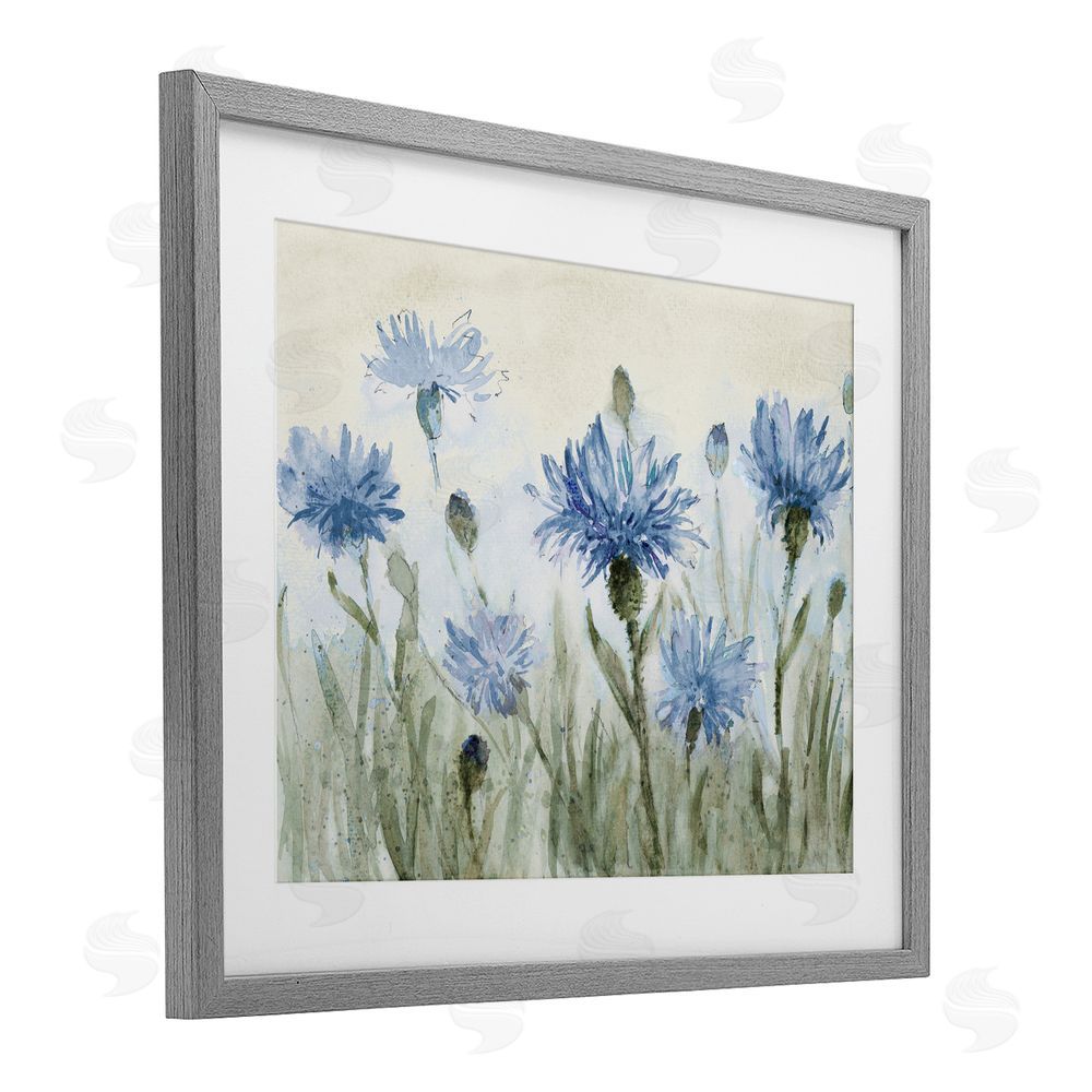 Sundance Graphics Blue Cornflowers Meadow Gray Framed Print Under Glass Wall Art