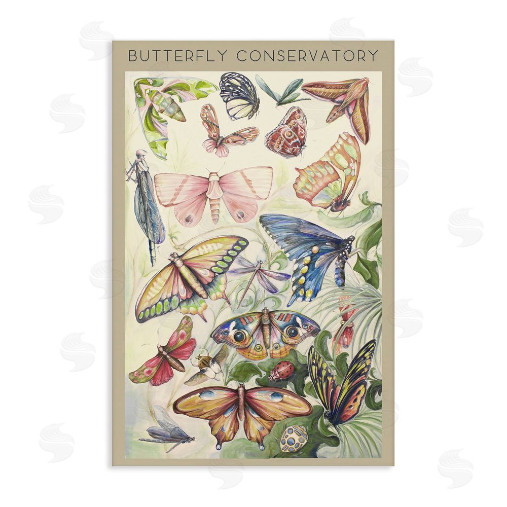 Sundance Graphics Butterfly Conservatory Insects Canvas Wall Art Print