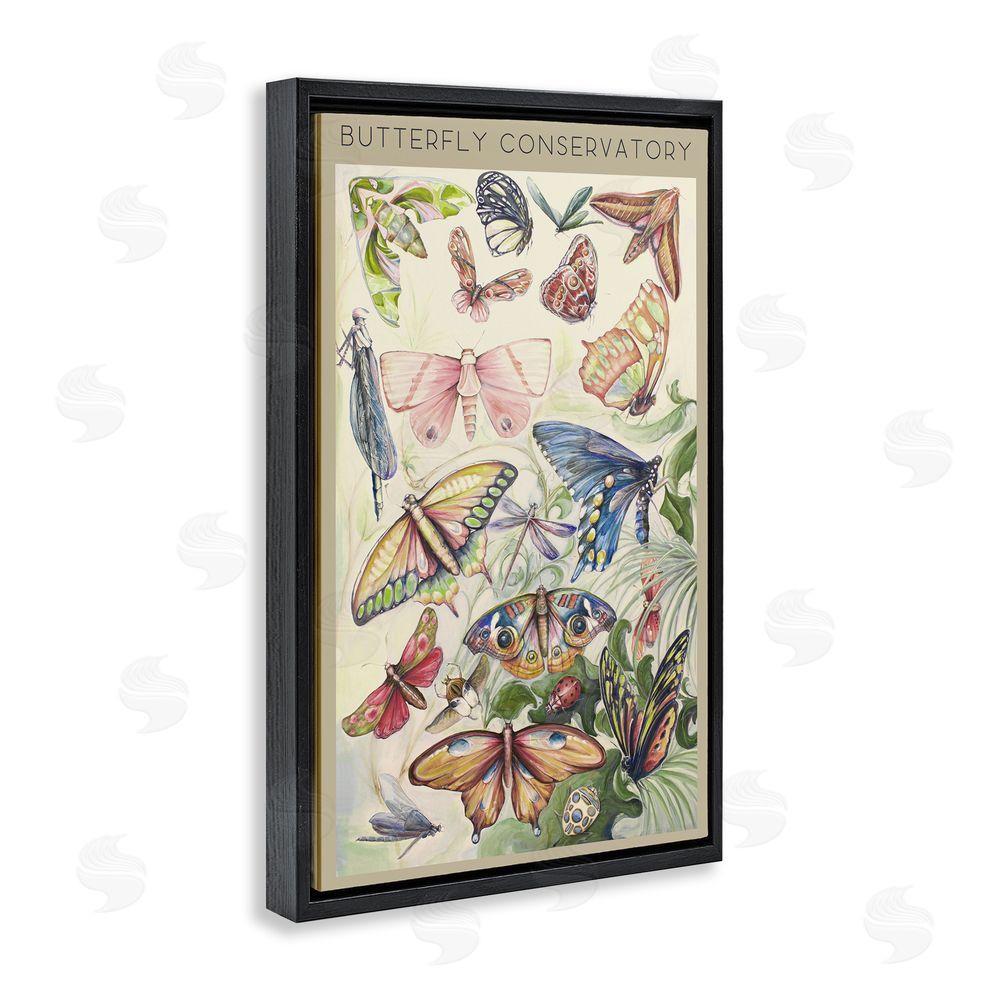 Sundance Graphics Butterfly Conservatory Insects Black Floating Frame Canvas Wall Art Print
