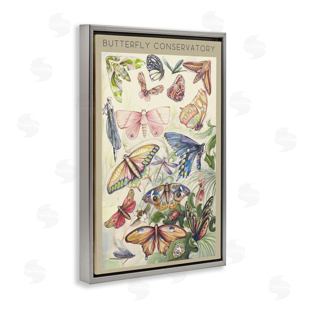 Sundance Graphics Butterfly Conservatory Insects Gray Floating Frame Canvas Wall Art Print