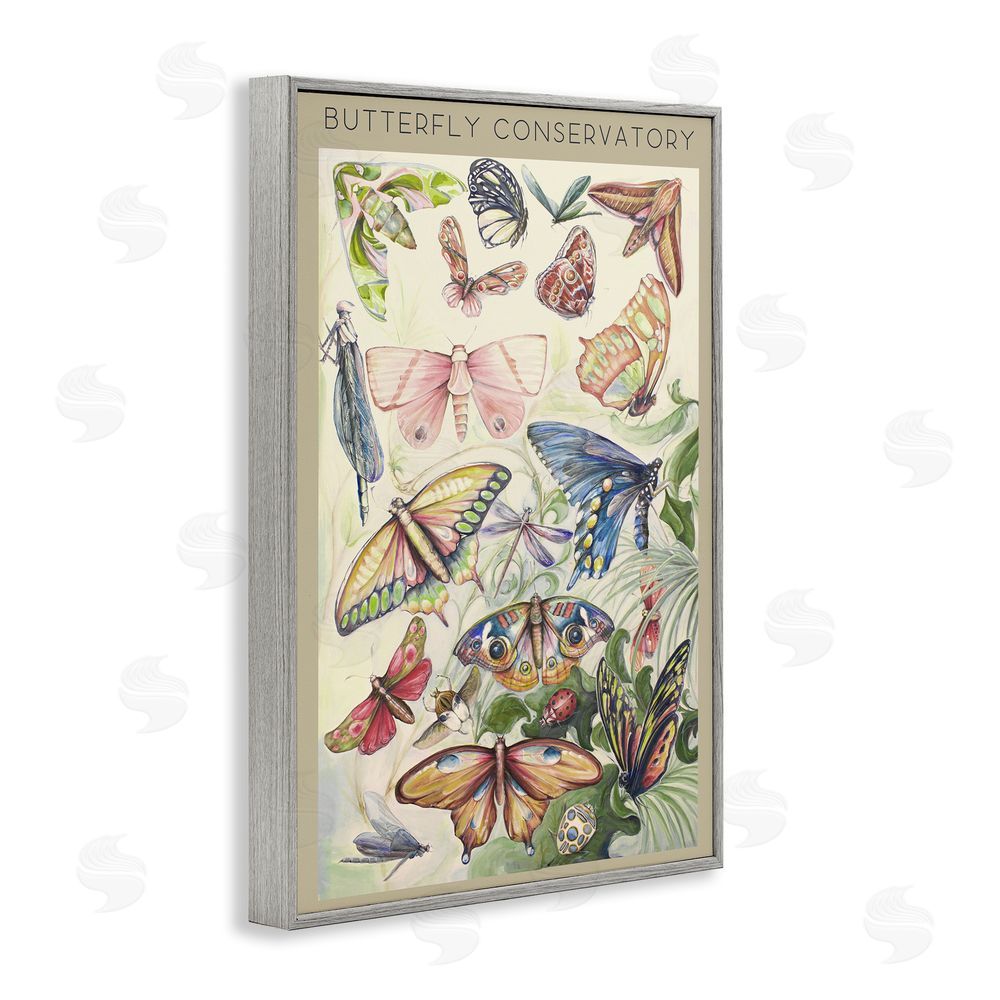 Sundance Graphics Butterfly Conservatory Insects Gray Framed Giclee Wall Art Print