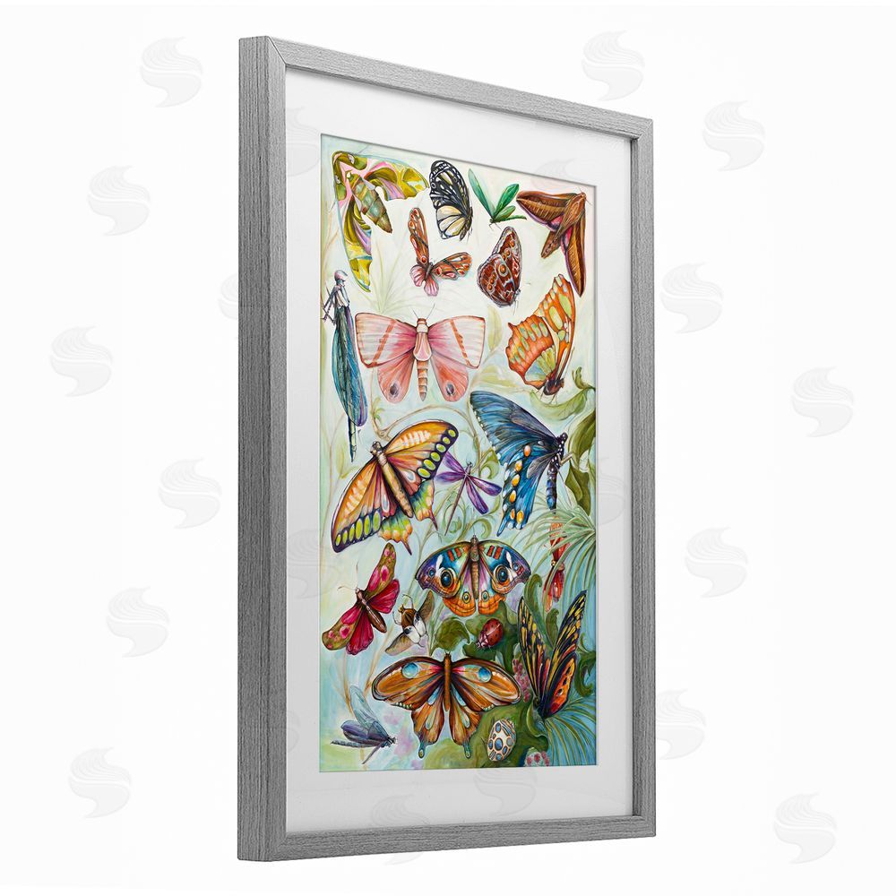 Sundance Graphics Colorful Butterfly Conservatory Gray Framed Print Under Glass Wall Art