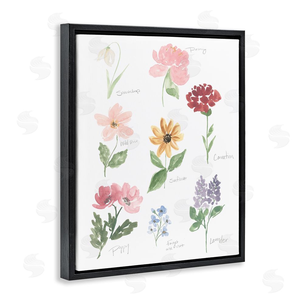 Sundance Graphics Labeled Flower Varieties Black Floating Frame Canvas Wall Art Print