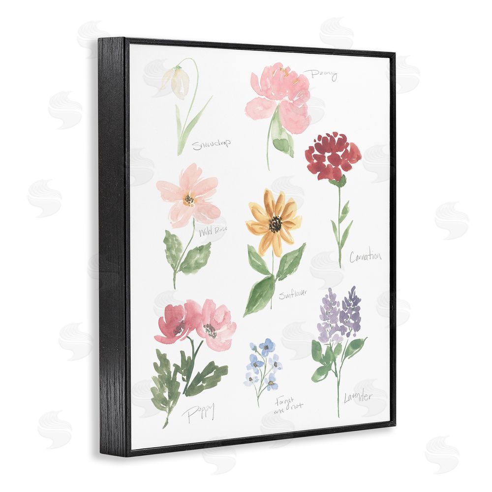 Sundance Graphics Labeled Flower Varieties Black Framed Giclee Wall Art Print