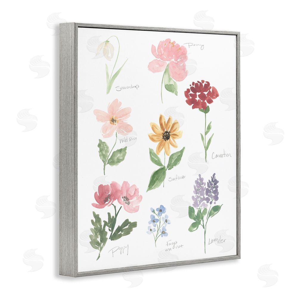 Sundance Graphics Labeled Flower Varieties Gray Framed Giclee Wall Art Print