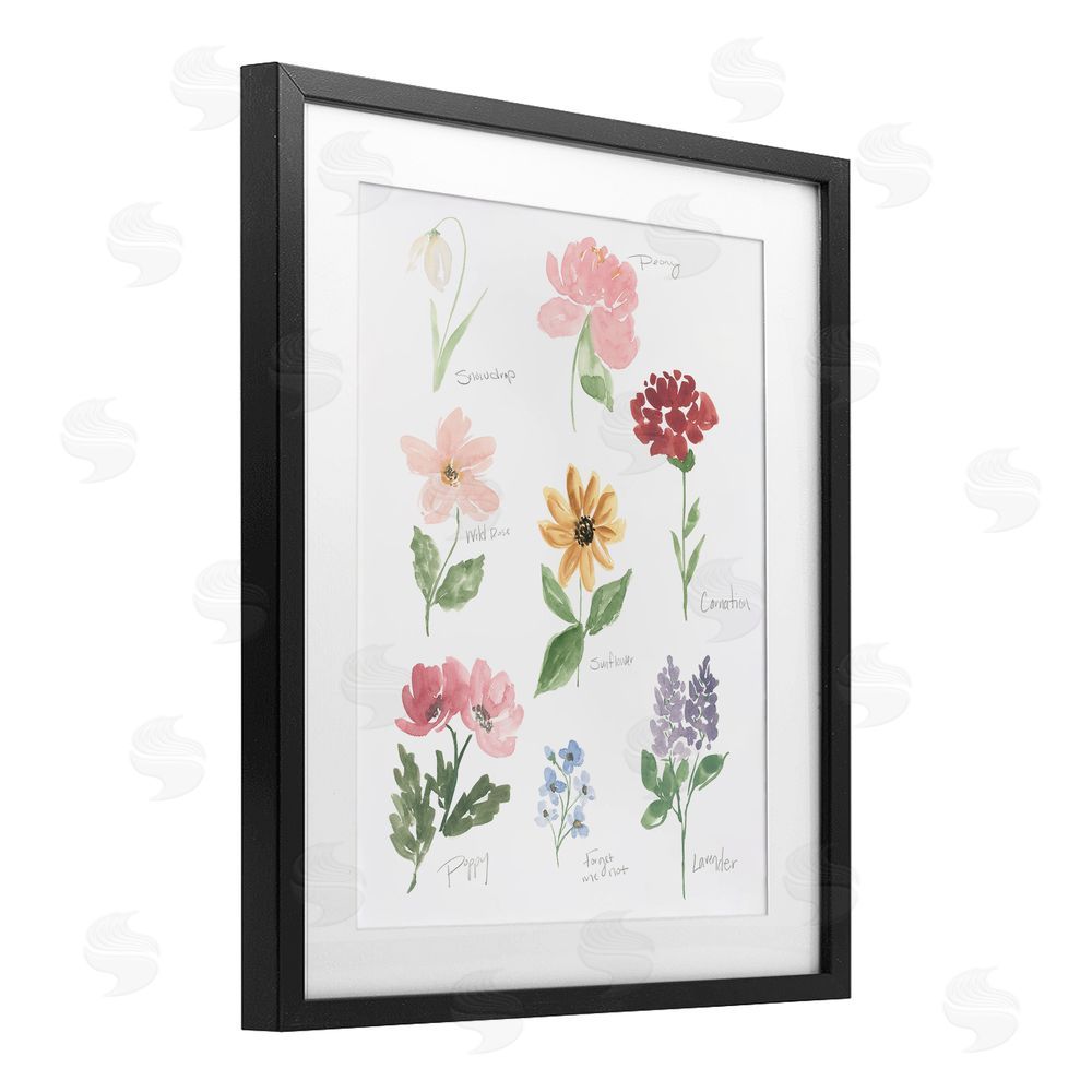 Sundance Graphics Labeled Flower Varieties Black Framed Print Under Glass Wall Art