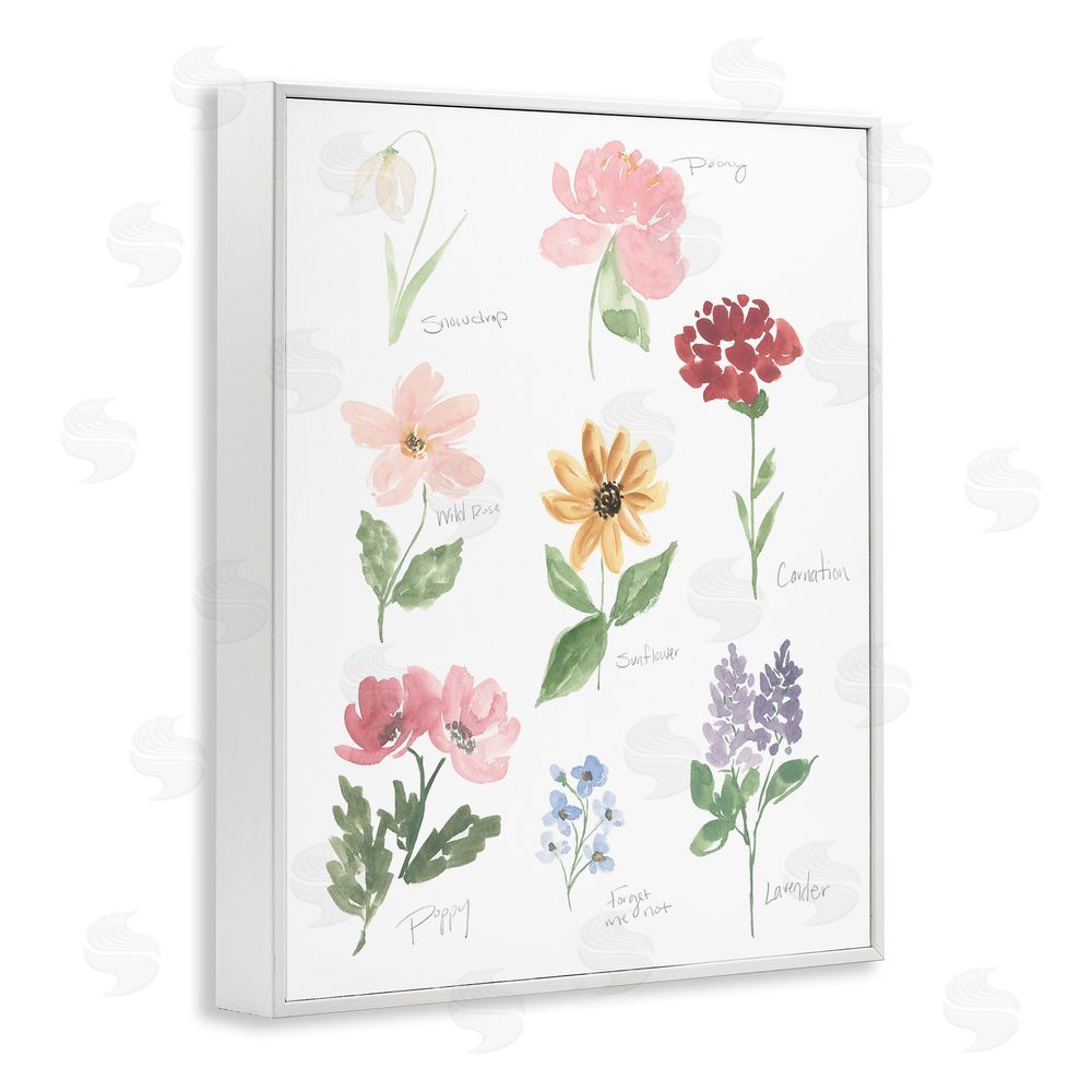 Sundance Graphics Labeled Flower Varieties White Framed Giclee Wall Art Print