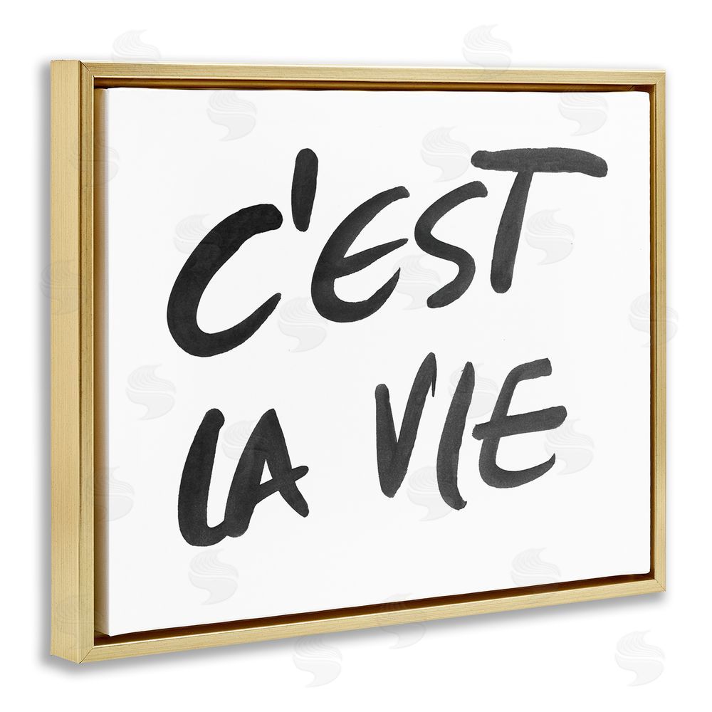 Sundance Graphics C'est La Vie Minimal Text Gold Floating Frame Canvas Wall Art Print
