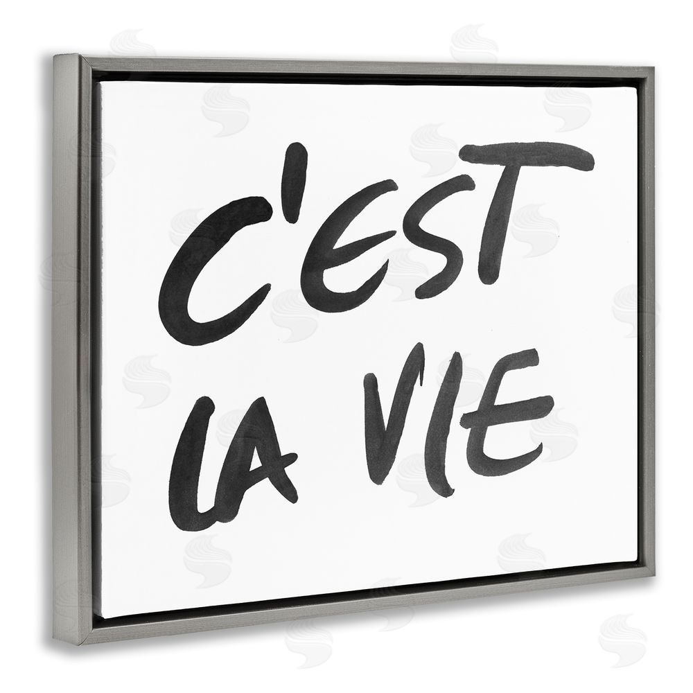 Sundance Graphics C'est La Vie Minimal Text Gray Floating Frame Canvas Wall Art Print