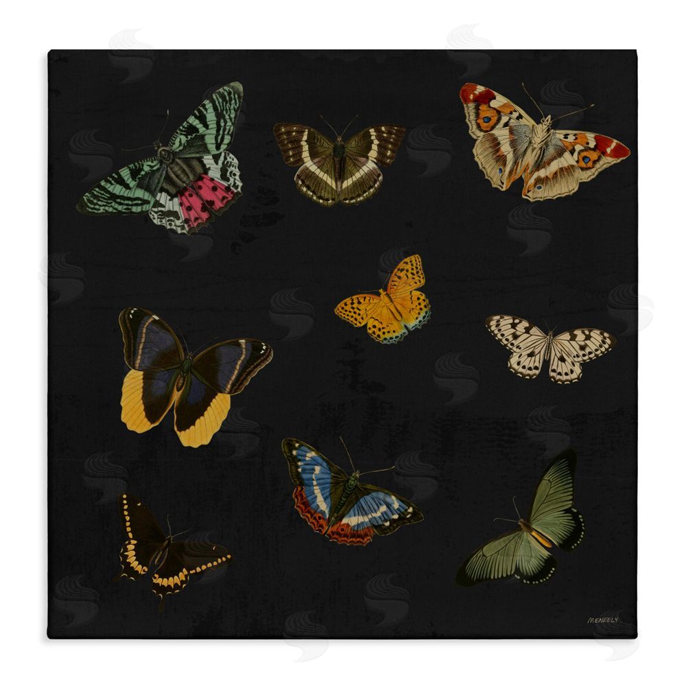 Sundance Graphics Butterfly & Moth Collection Canvas Wall Art Print