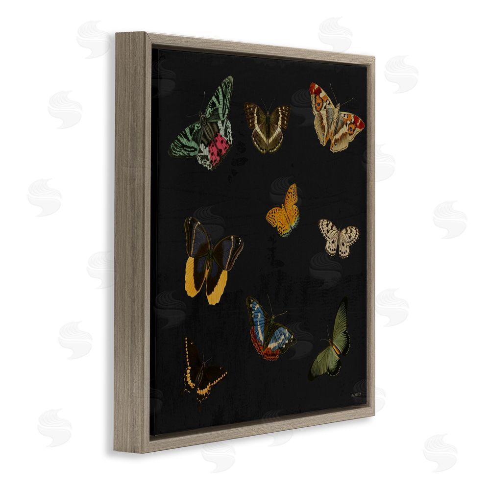 Sundance Graphics Butterfly & Moth Collection Brown Floating Frame Canvas Wall Art Print