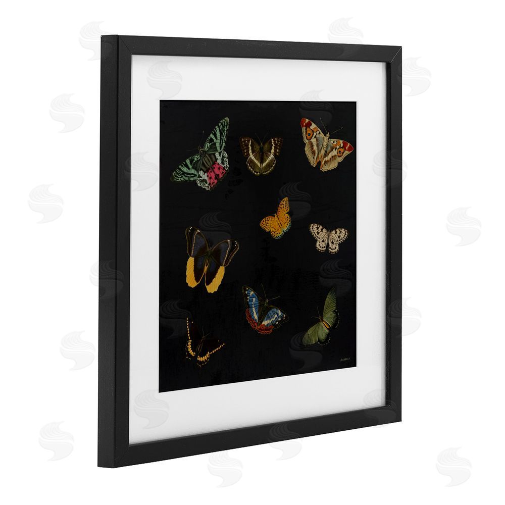 Sundance Graphics Butterfly & Moth Collection Black Framed Print Under Glass Wall Art